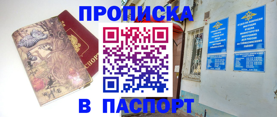пропишу в квартире в Вязьме